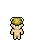 Turtle Head shown on a Fantasy Online 2 character